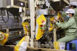 La filière riz vise l'objectif d’exportation de 5 milliards de dollars