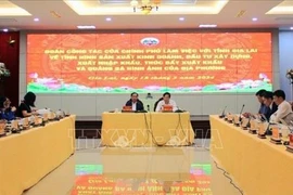 La province de Gia Lai vise un taux de croissance du PIBR de 8,6% en 2024