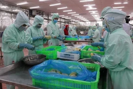 Le Vietnam est la destination prioritaire du Canada dans sa stratégie pour l'Indo-Pacifique