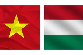 Le PM Pham Minh Chinh en Hongrie pour renforcer le partenariat intégral