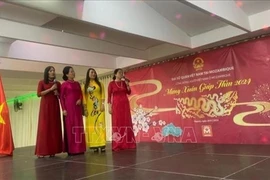 Les Vietnamiens du Mozambique célèbrent le Têt 2024