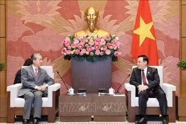 Le président de l'AN Vuong Dinh Huê reçoit l'ambassadeur de Chine au Vietnam 