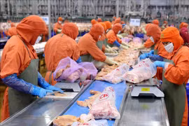 Opportunités d’augmenter les exportations de produits carnés vers la Chine