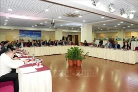 Table ronde sur les perspectives de coopération dans l'économie numérique entre le Vietnam et la Russie