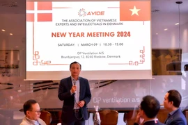 Les intellectuels vietnamiens au Danemark contribuent activement au développement national