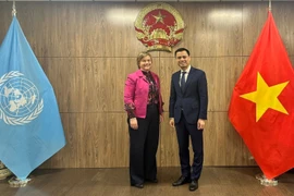L’UNICEF apprécie la mise en œuvre par le Vietnam de politiques de soins et de protection d’enfants