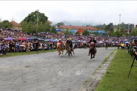Lao Cai organisera des activités culturelles et sportives pour attirer plus de visiteurs