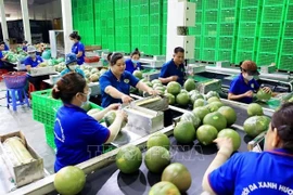 Des opportunités de croissance des exportations de fruits et légumes en 2024 s’ouvrent