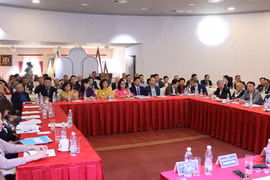 L’Association des Vietnam en République tchèque promeut sa solidarité