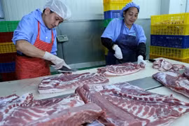 Les exportations vietnamiennes de produits de l'élevage en hausse au premier trimestre