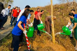 Les fleurs de bauhinie envahiront dans le complexe des vestiges de la bataille de Dien Bien Phu