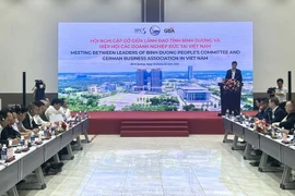 Binh Duong : opportunités d'élargir la coopération avec des entreprises allemandes