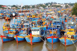 Kien Giang et Ha Tinh déterminées à lutter contre la pêche INN