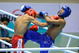 Binh Dinh accueillera les Championnats asiatiques de kickboxing 2024