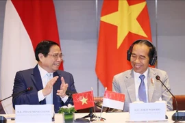 Le Dialogue d’entreprise de haut niveau Vietnam-Indonésie