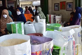 La Thaïlande s'apprête à dépasser son objectif d'exportation de riz de 2023