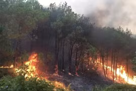 Le PM demande la mise en œuvre de mesures drastiques de prévention et de lutte contre les incendies de forêt