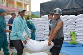 Près de 15.500 tonnes de riz allouées à 17 provinces