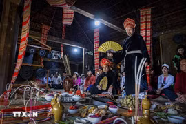 Les dossiers du "Mo Muong" et de "l’art du cheo" seront soumis à l’UNESCO