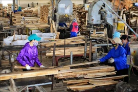 Les zones de matières premières stables nécessaires pour développer la filière bois durable 