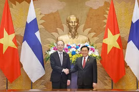 Le président de l'AN du Vietnam Vuong Dinh Huê s'entretient avec son homolgue finlandais