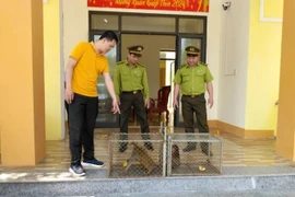 Quang Binh relâche des animaux sauvages rares dans la nature