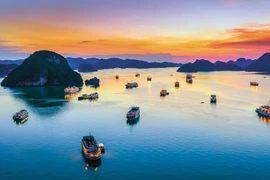 Un spectacle de lumière de drones sera présenté cet été au-dessus de la baie d'Ha Long