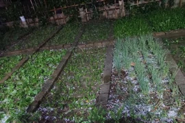Des averses de grêle s'abattent sur Lao Cai
