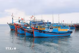 Pêche INN : Ben Tre accélère l'enregistrement de ses navires de pêche