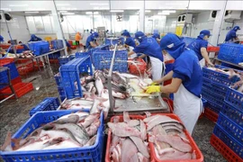 Le Vietnam et la Nouvelle-Zélande envisagent une nouvelle croissance commerciale