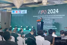 Perspectives du poivre et des épices du Vietnam en 2024