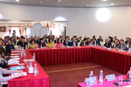 L’Association des Vietnam en République tchèque promeut sa solidarité