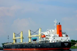 Confirmer la mort d'un Vietnamien lors d'une attaque contre un navire en Mer Rouge