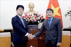 Le Vietnam et le Japon promeuvent les relations diplomatiques