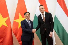  Le Vietnam renforce ses relations diplomatiques avec la Roumanie et la Hongrie