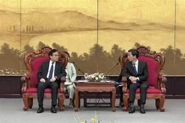 Da Nang renforce sa coopération avec la province chinoise du Shandong