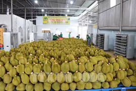 La Thaïlande se prépare à publier des normes de produits pour les exportations de durian