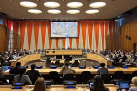 Le Vietnam élu membre du Conseil d’administration d'ONU Femmes pour le mandat 2025-2027