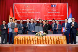 L'Association des agriculteurs du Vietnam partage ses expériences avec le Laos