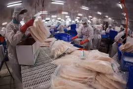 Exportations de poisson tra vers les Émirats arabes unis en hausse de 67 % au premier trimestre