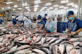 Les États-Unis, le Japon et la Chine sont les plus grands importateurs de produits aquatiques du Vietnam
