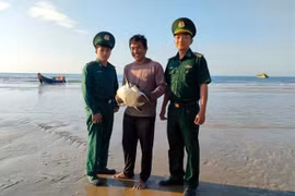 Une tortue de mer rare relâchée dans la nature