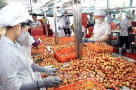 Réponde aux nouvelles exigences du marché chinois pour exporter plus