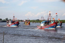 Des efforts tous azimuts nécessaires pour le retrait du carton jaune sur la pêche INN