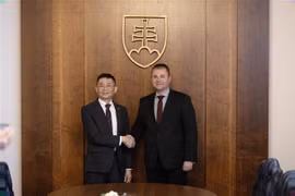 Le Vietnam et la Slovaquie encouragent les activités d'échange de délégations