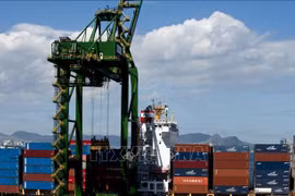 Le Brésil augmente ses importations de marchandises en provenance du Vietnam