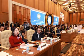 La vice-présidente vietnamienne au 19e Sommet du Mouvement des non-alignés
