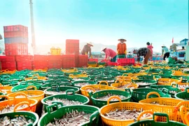 Approbation du Programme national de protection et de développement des ressources aquatiques jusqu'en 2030