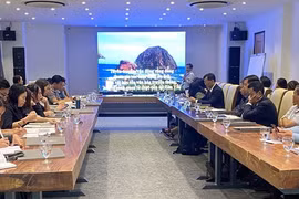 Phu Yen : Les activités touristiques contribuent à protéger les récifs coralliens de l'île de Hon Yen