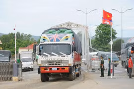 ​Des tarifs d'importation préférentiels spéciaux pour stimuler le commerce Vietnam-Cambodge